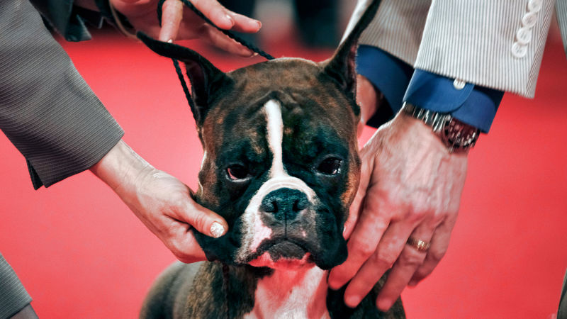 Photo: AP